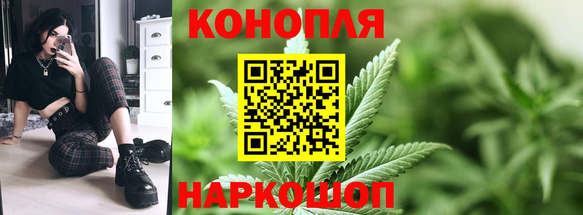 Бошки Шишки SATIVA & INDICA  Конопля ГИДРОПОН  Артёмовский  Каннабис THC 21%  Вход с VPN 